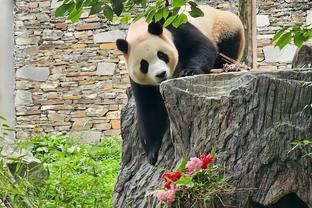 广东官宣签下威姆斯！朱芳雨更博晒出视频：欢迎回来！